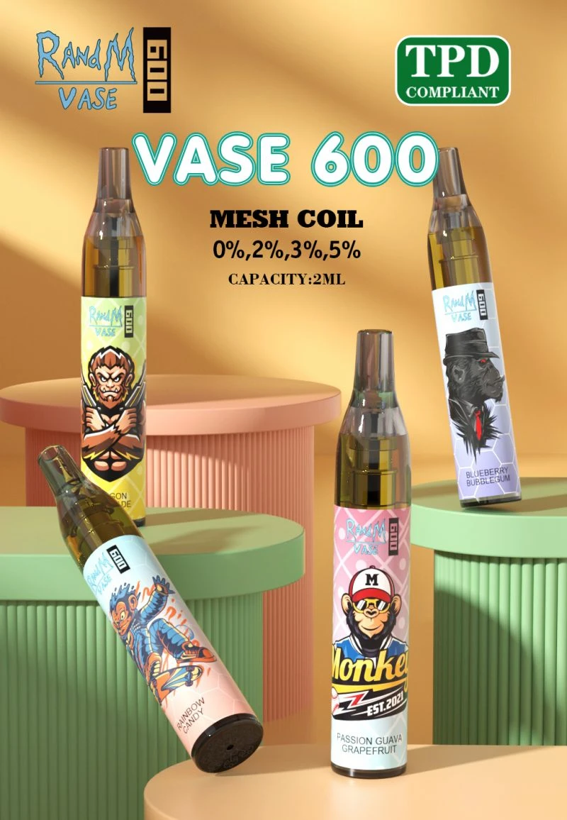 randm vase 600 vapes puff