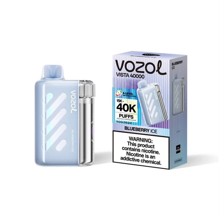 BLUEBERRY ICE_Vozol vista 40000 BLUEBERRY ICE_Vozol vista 40000