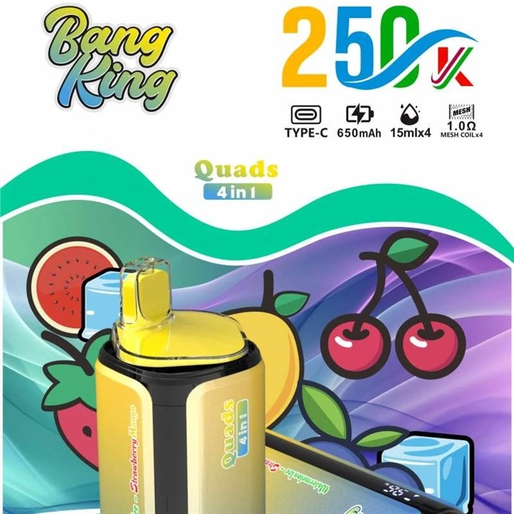 BANG KING Quads 250K factory