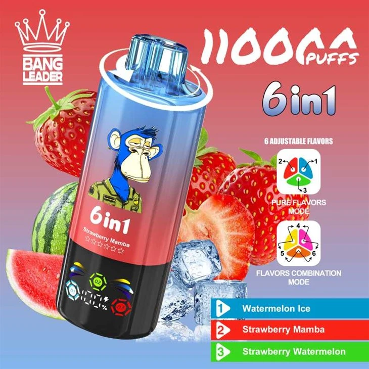 Bang Leader 110K Puffs Bang Leader 110K Puffs