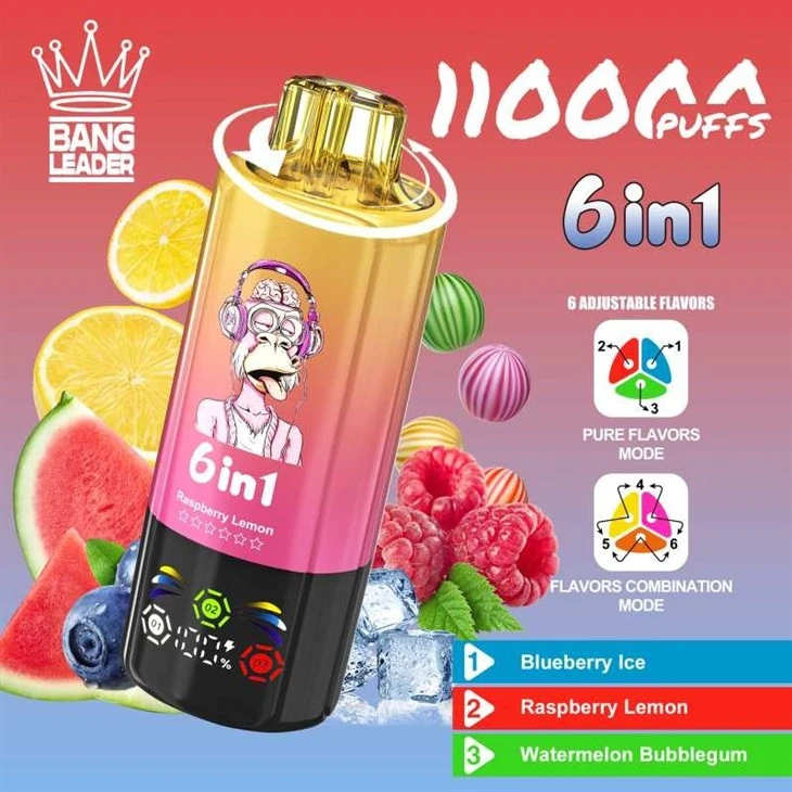 Bang Leader 110K Puffs manufacturers Bang Leader 110K Puffs manufacturers
