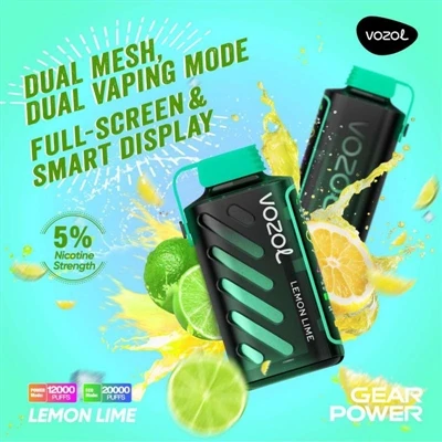 Kiek laiko gali būti naudojamas „Vozol Gear Power 20000“?