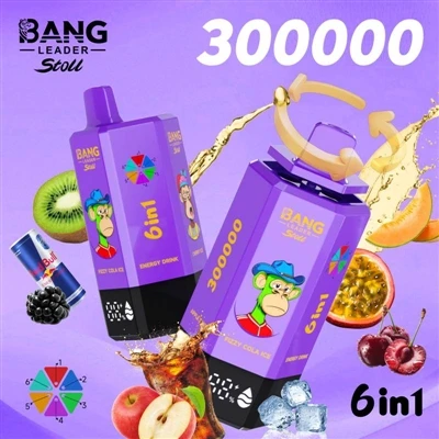 Bang Leader 300000: visa naujos kartos vienkartinių e{1}cigarečių forma.