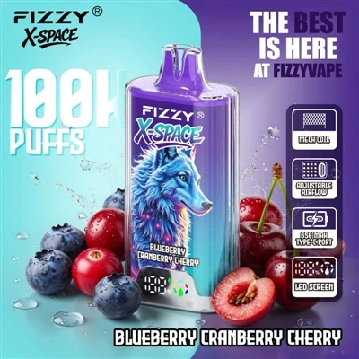 Fizzy 100K X Space: Nieko nuostabaus, kad įrenginys tarnautų ilgai; Tikrasis ...