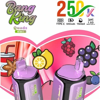 BANG KING keturračiai 250 000