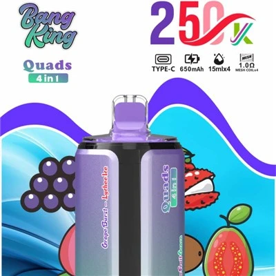 BANG KING keturračiai 4 IN1 250K