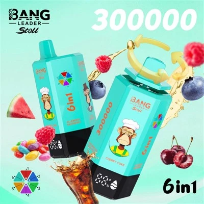 BANG LEADER Stoll 300 tūkst
