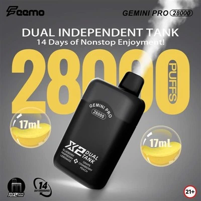„Feemo Gemini Pro 28000“ puffai
