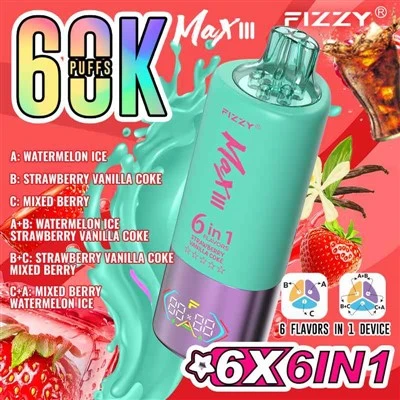 „Fizzy Max III 60K 6“ 1 skonyje