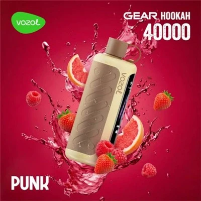 VOZOL Gear Kaljanas 40000