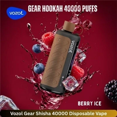 VOZOL Gear Kaljanas 40K Puffs