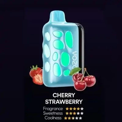 „Vozol Rave 40000 Puffs Vape“