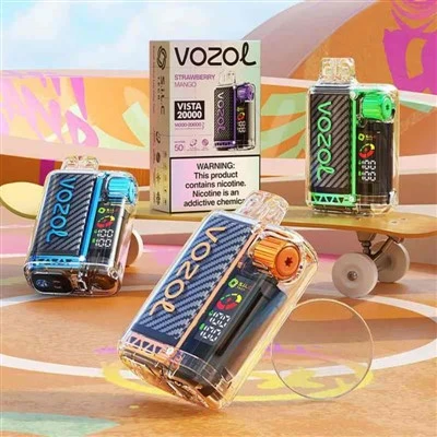 VOZOL VISTA 20000 Pūkai