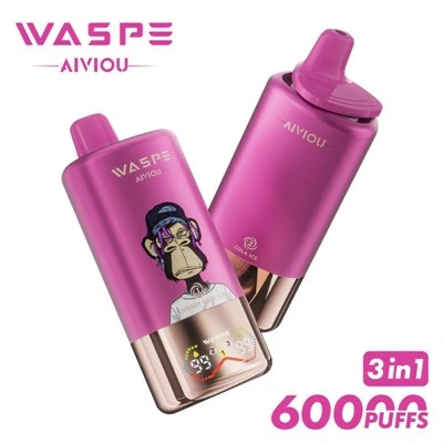 Waspe Aiviou 60000 3 1