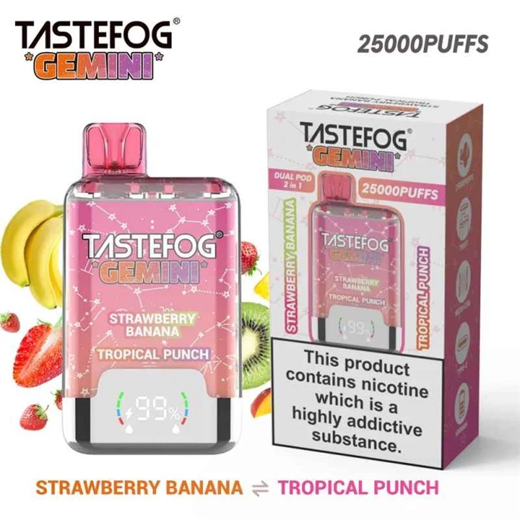 TASTEFOG GEMINI 25000 Double Flavor