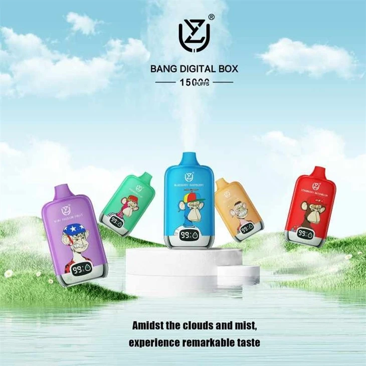 UZY BANG DIGITAL BOX 12000 5